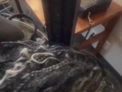 Ebony milf in wheelchair throat fuck