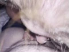 Cock hungry wife swallows Cum load before bed