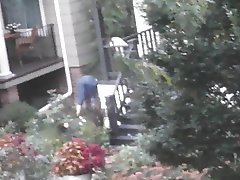 PAWG Neighbor Mowing Lawn Returns