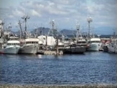 Asian Ladyboy Lexi Faith summer vlog 01