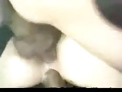 My get hitched emigrant