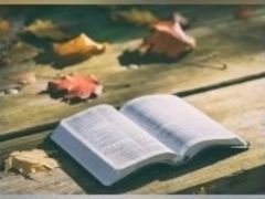 Genesis 7-12 KJV (Bible Read Through Video #2)
